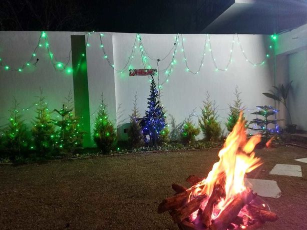Imagen de los exteriores del Hotel The Palm, Mahargaon. Foto 12