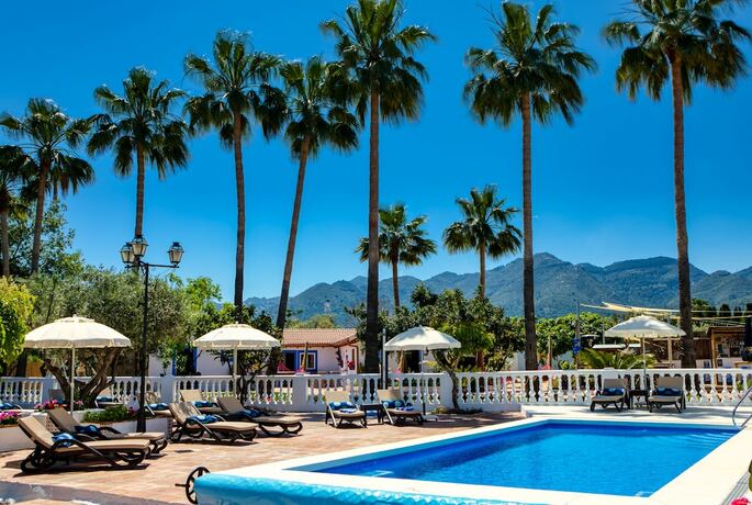 Imagen general del Hotel The Palms Boutique Resort Malaga - Adults Only. Foto 9