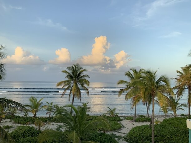 Imagen general del Hotel The Palms at Pelican Cove. Foto 11