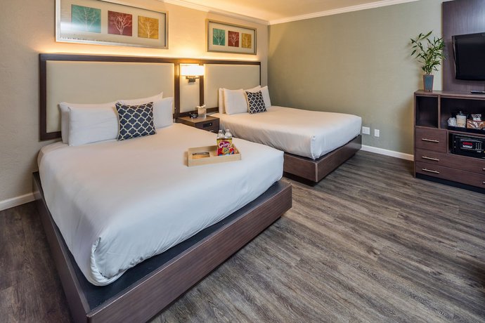 Imagen de los interiores del Hotel The Palo Alto Inn. Foto 20