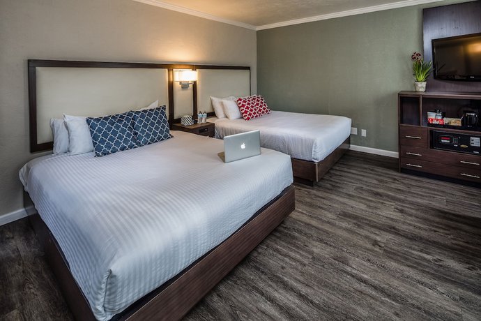 Imagen de la habitación del Hotel The Palo Alto Inn. Foto 10