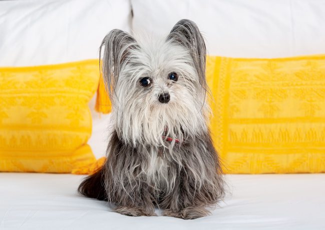 Imagen de la habitación del Hotel The Panoramic By Xperience Hotels. Foto 2