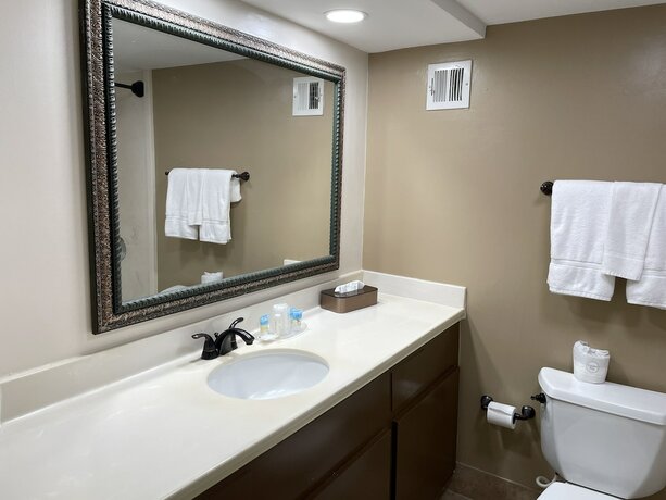Imagen de la habitación del Hotel The Paragon Of Golden Isles. Foto 17