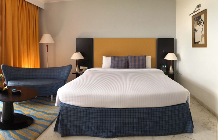 Imagen de la habitación del Hotel The Park Visakhapatnam. Foto 8