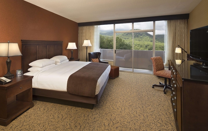 Imagen de la habitación del Hotel The Park Vista - A Doubletree By Hilton - Gatlinburg. Foto 10