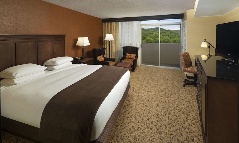 Imagen de la habitación del Hotel The Park Vista - A Doubletree By Hilton - Gatlinburg. Foto 14