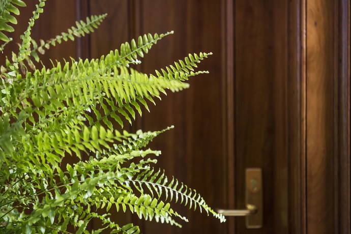 Imagen de los interiores del Hotel The Parkview Mudgee. Foto 19