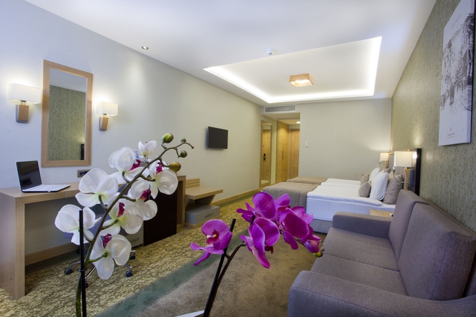 Imagen de la habitación del Hotel The Parma Taksim. Foto 12