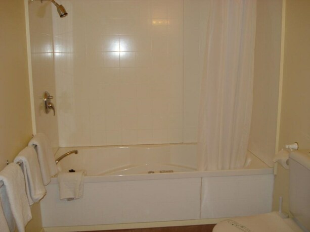 Imagen de la habitación del Hotel The Peaks Motor Inn. Foto 25