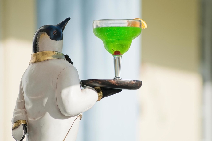 Imagen del bar/restaurante del Hotel The Penguin. Foto 2