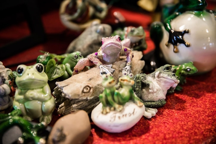 Imagen de los interiores del Hotel The Pickled Frog - Hostel. Foto 14