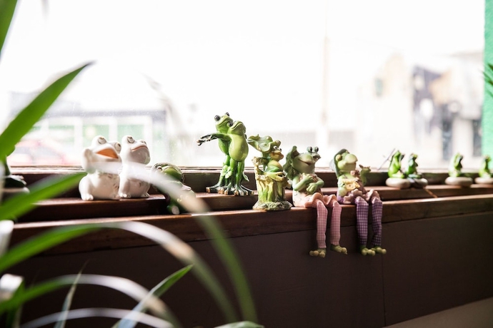 Imagen de los interiores del Hotel The Pickled Frog - Hostel. Foto 17