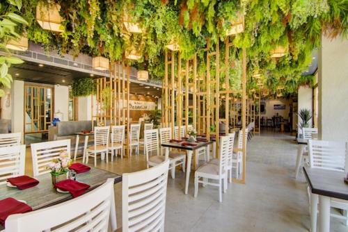 Imagen general del Hotel The Pikus Paradise. Foto 14