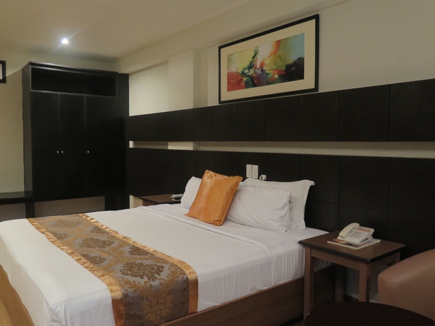 Imagen de la habitación del Hotel The Pinnacle and Suites. Foto 11