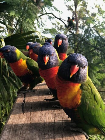 Imagen de la habitación del Hotel The Polish Place. Foto 34