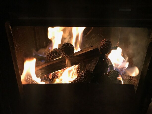 Imagen de la habitación del Hotel The Polish Place. Foto 35