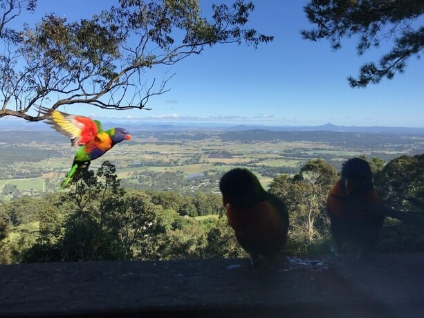 Imagen de la habitación del Hotel The Polish Place. Foto 36