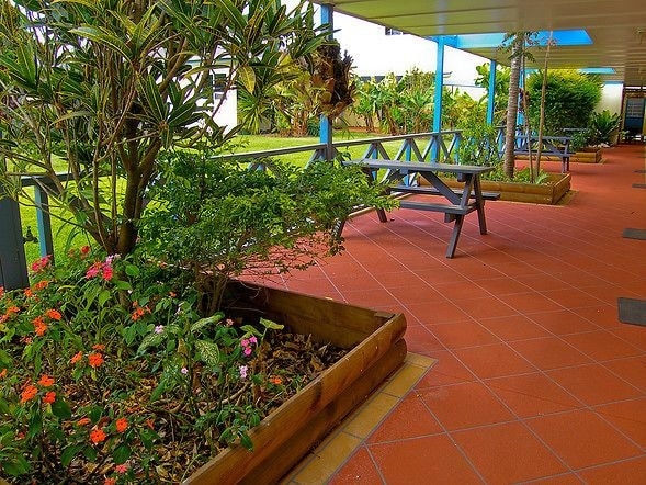 Imagen de los exteriores del Hotel The Polynesian Apartments. Foto 13