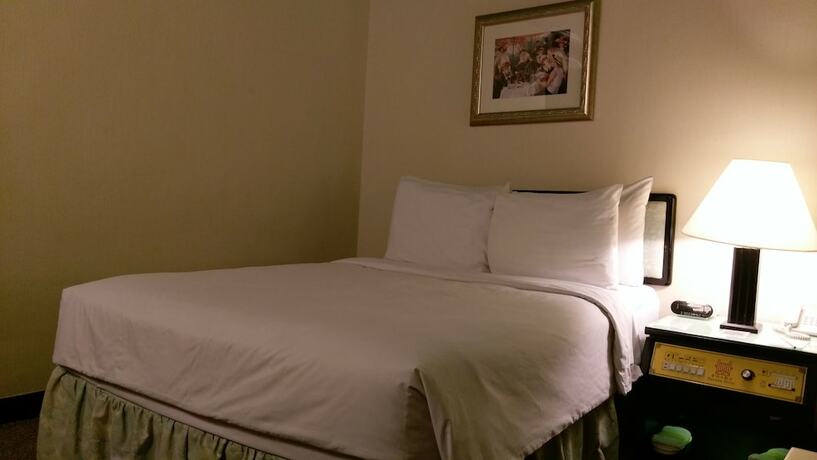 Imagen de la habitación del Hotel The Premier, Tainan. Foto 24