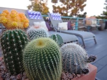 Imagen de la habitación del Hotel The Presidio. Foto 8