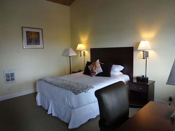 Imagen de la habitación del Hotel The Presidio. Foto 11