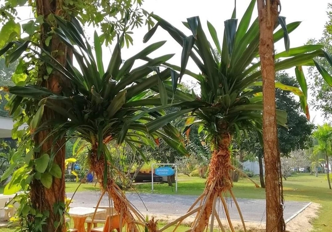 Imagen general del Hotel The Princess Beach Resort. Foto 3