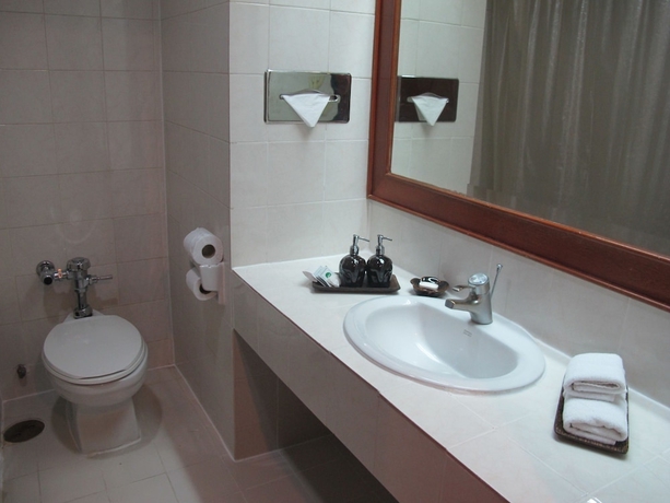 Imagen de la habitación del Hotel The Promenade. Foto 12