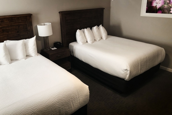 Imagen de la habitación del Hotel The Purple Orchid Wine Country Resort and Spa. Foto 2