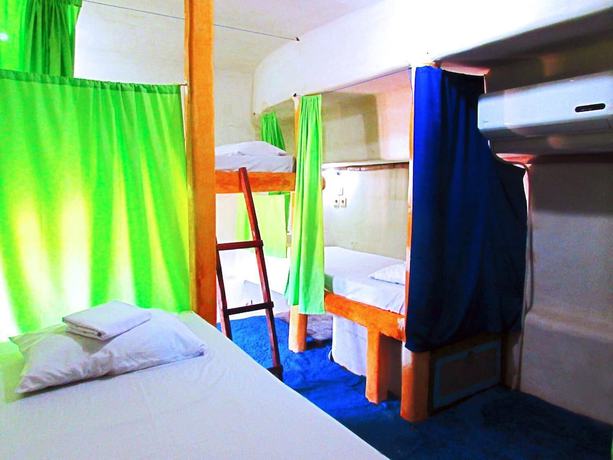 Imagen de la habitación del Hotel The Rabbit Tree - Hostel. Foto 3