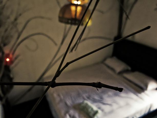 Imagen de la habitación del Hotel The Rabbit Tree - Hostel. Foto 12