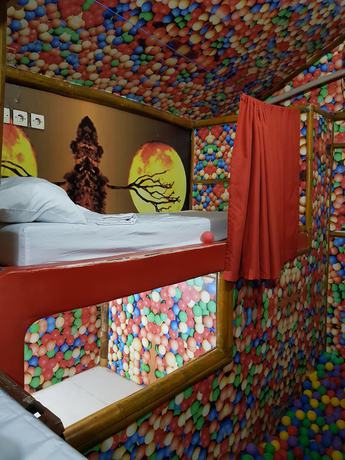 Imagen de la habitación del Hotel The Rabbit Tree - Hostel. Foto 13