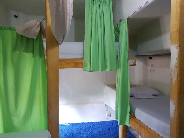 Imagen de la habitación del Hotel The Rabbit Tree - Hostel. Foto 18