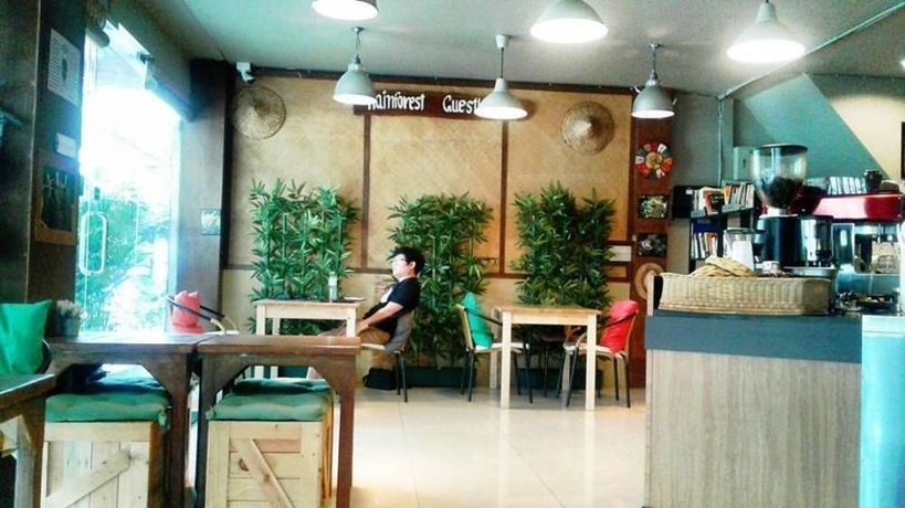 Imagen de los interiores del Hotel The Rainforest Guesthouse and Cafe. Foto 10
