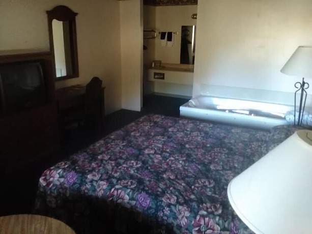 Imagen de la habitación del Hotel The Razorback Lodge. Foto 11