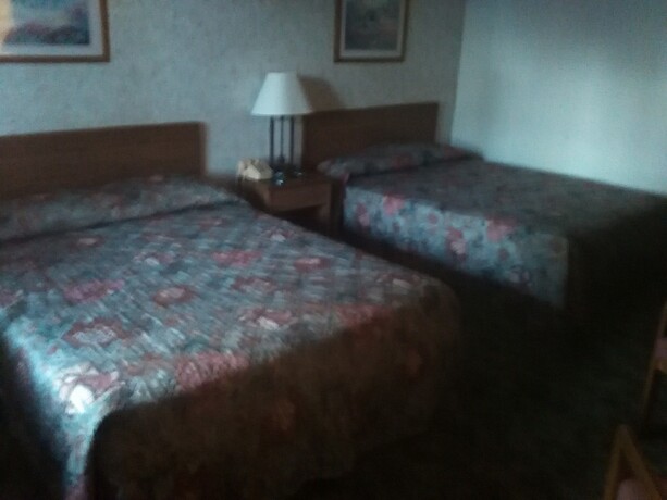 Imagen de la habitación del Hotel The Razorback Lodge. Foto 19