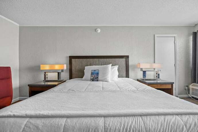 Imagen general del Hotel The Red Tree Inn. Foto 10