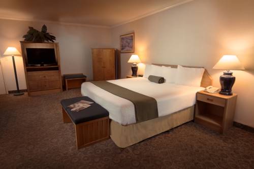 Imagen de la habitación del Hotel The Redwood Riverwalk, A Boutique. Foto 4