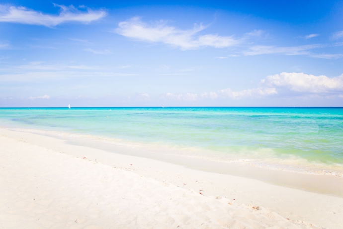 Imagen de los exteriores del Hotel The Reef Playacar Resort and Spa - Optional All Inclusive. Foto 7