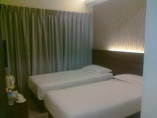 Imagen general del Hotel The Regency Garden Hotel. Foto 1