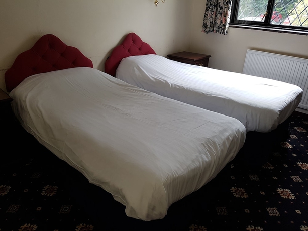 Imagen de la habitación del Hotel The Regency Hotel. Foto 7