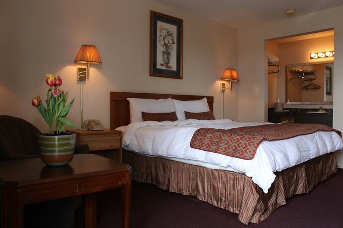 Imagen general del Hotel The Regency Inn. Foto 2