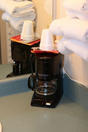 Imagen general del Hotel The Regency Inn. Foto 7