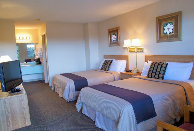 Imagen de la habitación del Hotel The Regency Inn. Foto 20