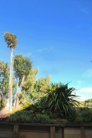 Imagen de los exteriores del Hotel The Reservation Bandb. Foto 13
