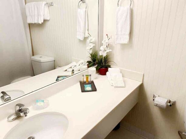 Imagen general del Hotel The Residences At Windsor. Foto 12