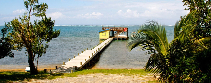 Imagen de los exteriores del Hotel The Resort At Marble Hill. Foto 14