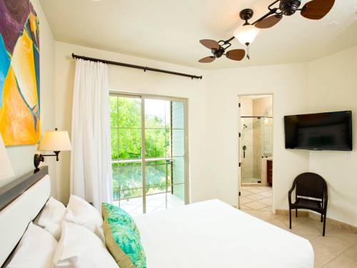 Imagen de la habitación del Hotel The Resort At Schlitterbahn. Foto 3
