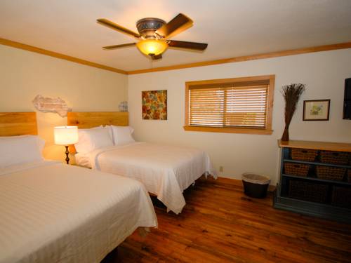 Imagen de la habitación del Hotel The Resort At Schlitterbahn. Foto 6