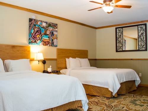 Imagen de la habitación del Hotel The Resort At Schlitterbahn. Foto 9