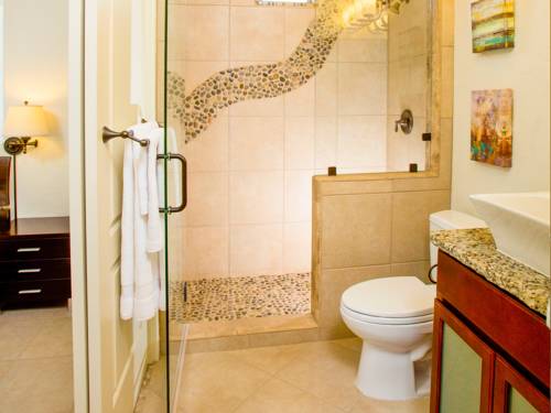 Imagen de la habitación del Hotel The Resort At Schlitterbahn. Foto 12